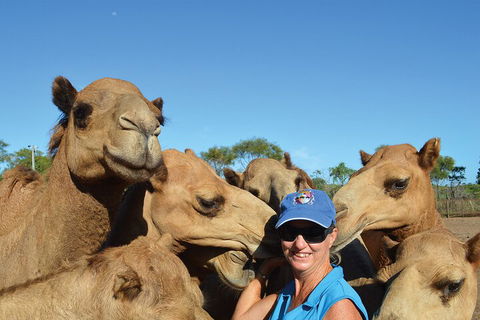 Broome Pre-sunset Camel Tour 30 Minutes - Lightning Ridge Tourism 0