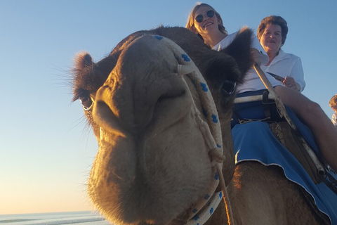 Broome Pre-sunset Camel Tour 30 Minutes - Lightning Ridge Tourism 1