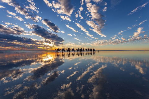 Broome Pre-sunset Camel Tour 30 Minutes - Lightning Ridge Tourism 4
