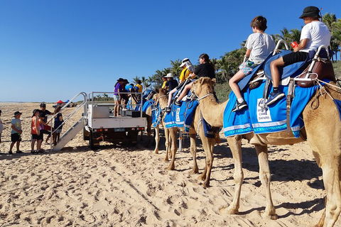 Broome Pre-sunset Camel Tour 30 Minutes - Lightning Ridge Tourism 5