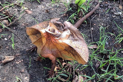 Litchfield National Park And Jumping Crocodile Cruise - Lightning Ridge Tourism 1