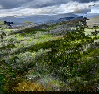 3-Day Tour to the Falls Mountains Lake  More of West Coast Tasmania - Lightning Ridge Tourism