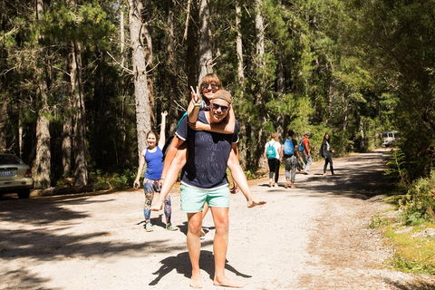 7-Day Best Of Tasmania Adventure Experience From Hobart (flexible Ticket) - Lightning Ridge Tourism 5