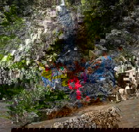 5-Day Lap of Tasmania Tour from Hobart flexible ticket - Lightning Ridge Tourism
