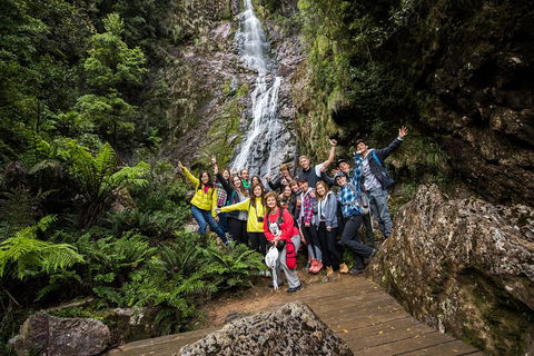 5-Day Lap Of Tasmania Tour From Hobart (flexible Ticket) - Lightning Ridge Tourism 0