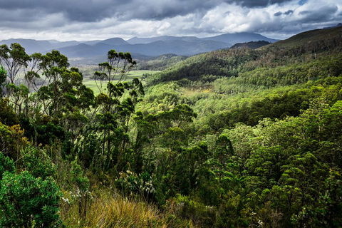 5-Day Lap Of Tasmania Tour From Hobart (flexible Ticket) - Lightning Ridge Tourism 2