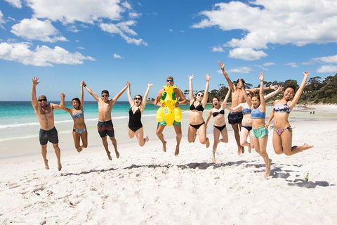 5-Day Lap Of Tasmania Tour From Hobart (flexible Ticket) - Lightning Ridge Tourism 4