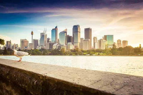 Private Sydney City And Bondi Beach Half Day Tour - Lightning Ridge Tourism 2