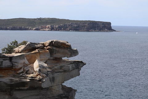 Private Sydney City And Bondi Beach Half Day Tour - Lightning Ridge Tourism 3