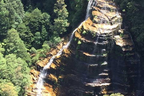 Private Blue Mountains Tour With Kangaroo And Koala Experience - Lightning Ridge Tourism 5