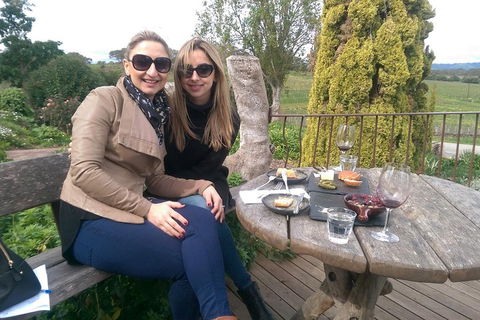 McLaren Vale Intimate Winery Tour By Private Limo - Lightning Ridge Tourism 4