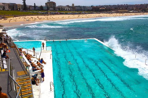 Private Sydney Half Day Tour Including Sydney Opera House And Bondi Beach - Lightning Ridge Tourism 1