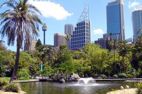 Private Sydney Half Day Tour Including Sydney Opera House And Bondi Beach - Lightning Ridge Tourism 4