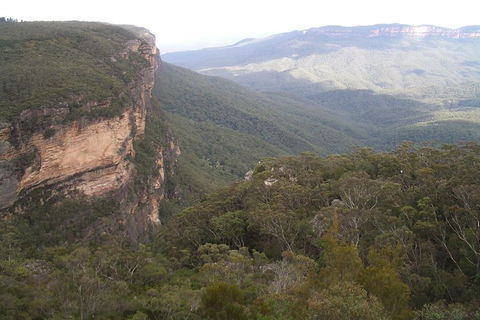 Full-Day Private Blue Mountains Tour With River Cruise - Lightning Ridge Tourism 3
