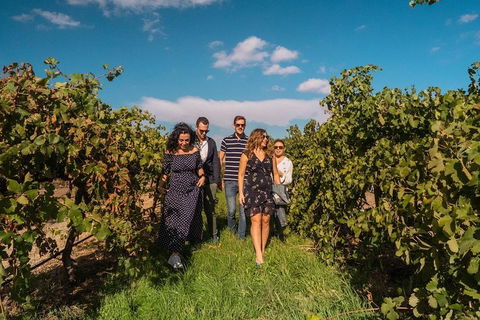Barossa Valley Private Tour (from 2 To 11 People) - Lightning Ridge Tourism 0