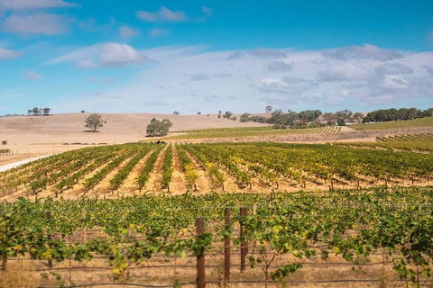 Barossa Valley Private Tour (from 2 To 11 People) - Lightning Ridge Tourism 2