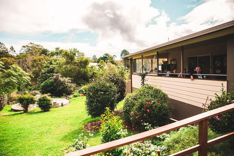 Full-day Springbrook National Park Tour From The Gold Coast - Lightning Ridge Tourism 2