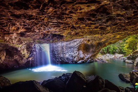 Full-day Springbrook National Park Tour From The Gold Coast - Lightning Ridge Tourism 3