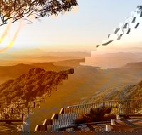 O'Reilly's  Lamington National Park incl. Alpaca Farm  Vineyard - Lightning Ridge Tourism