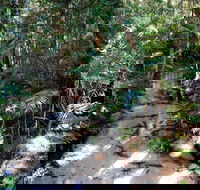 Fraser Island 4WD Tour from Rainbow Beach - Lightning Ridge Tourism