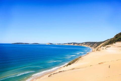 Kayak With Dolphins And 4WD Great Beach Drive Day Trip From Noosa - Lightning Ridge Tourism 0
