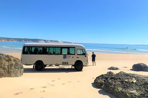Kayak With Dolphins And 4WD Great Beach Drive Day Trip From Noosa - Lightning Ridge Tourism 4