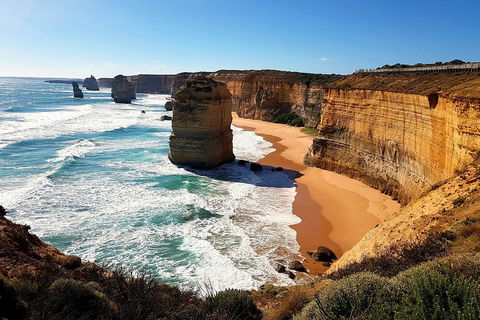 Helicopter Flight + Fine Dining Private Luxury Great Ocean Road Tour - Lightning Ridge Tourism 4