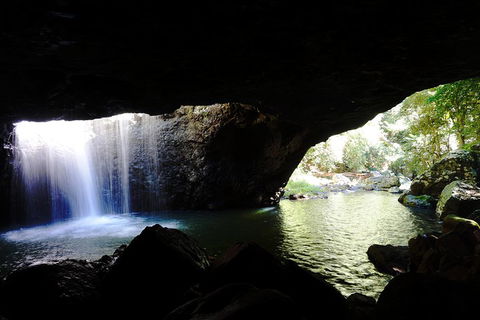 Rainforest & Waterfalls Extravaganza - Lightning Ridge Tourism 0