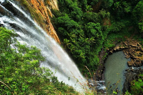 Rainforest & Waterfalls Extravaganza - Lightning Ridge Tourism 1