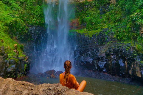 Rainforest & Waterfalls Extravaganza - Lightning Ridge Tourism 2