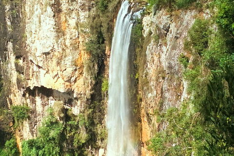 Rainforest & Waterfalls Extravaganza - Lightning Ridge Tourism 3