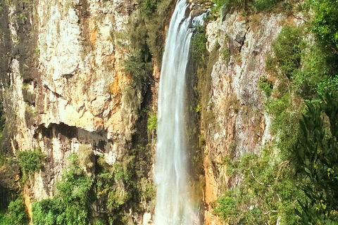 Natural Arch, Rainforest & Volcano Canyon - Private Half Day Tour - Lightning Ridge Tourism 2