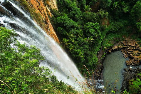 Natural Arch, Rainforest & Volcano Canyon - Private Half Day Tour - Lightning Ridge Tourism 5