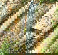 Private Tour - Rainforest  Waterfalls Extravaganza - Lightning Ridge Tourism