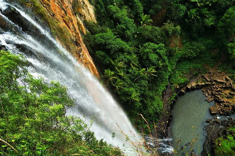 Private Tour - Rainforest & Waterfalls Extravaganza - Lightning Ridge Tourism 2
