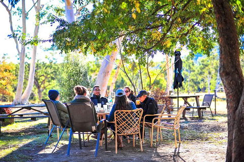 Blue Mountains Private Tour From Sydney - Lightning Ridge Tourism 5