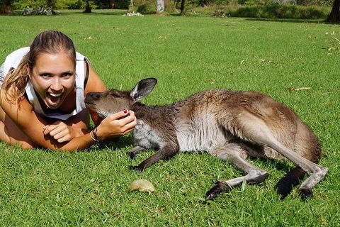 7-Day Tour In Sydney With Airport Pickup - Lightning Ridge Tourism 4