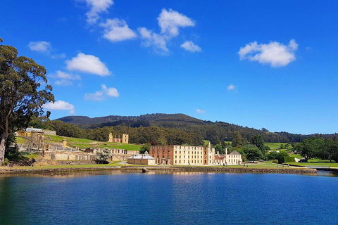 Tasmania 4 Day East Coast + Launceston - Lightning Ridge Tourism 0