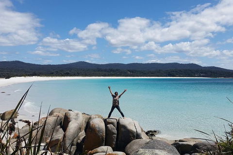 Tasmania 4 Day East Coast + Launceston - Lightning Ridge Tourism 1