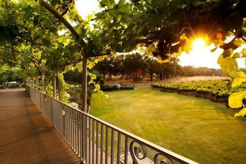 Busselton Jetty + Train Ride + Winery + Scenic Drive Full Day Tour - Lightning Ridge Tourism 1