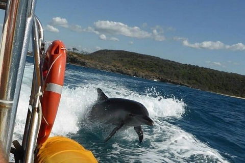 Noosa Oceanrider - Adventure Tour - Lightning Ridge Tourism 1