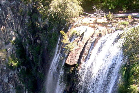 Byron Bay Combo: Hinterland Tour Including Minyon Falls And Kayaking With Dolphins - Lightning Ridge Tourism 3