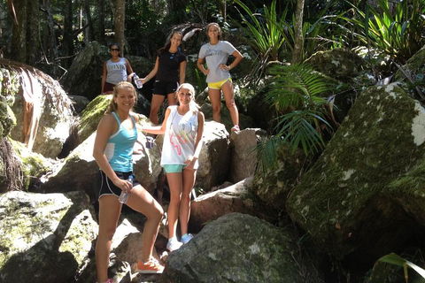 Byron Bay Combo: Hinterland Tour Including Minyon Falls And Kayaking With Dolphins - Lightning Ridge Tourism 4