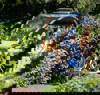 Adelaide 90-Minute Pedicab Tour Scenic Green  River Experience - Lightning Ridge Tourism