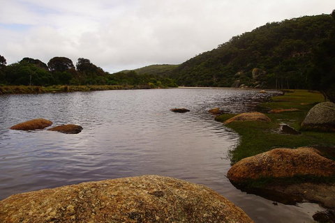 Private Tours From Melbourne - Lightning Ridge Tourism 2