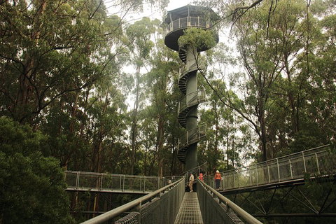 Private Tours From Melbourne - Lightning Ridge Tourism 5