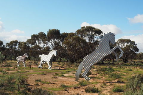 Wave Rock, Wild Flowers And Astro Photography - Lightning Ridge Tourism 5