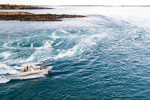 Giant Tides Tour - Cygnet Bay Pearl Farm - Lightning Ridge Tourism 4