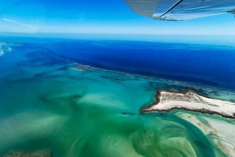 Wet Season Incredible Islands Tour - Horizontal Falls & Cygnet Bay Pearl Farm - Lightning Ridge Tourism 4