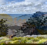 Blue Mountains Private Tour - wild kangaroos waterfalls and The Three Sisters - Lightning Ridge Tourism